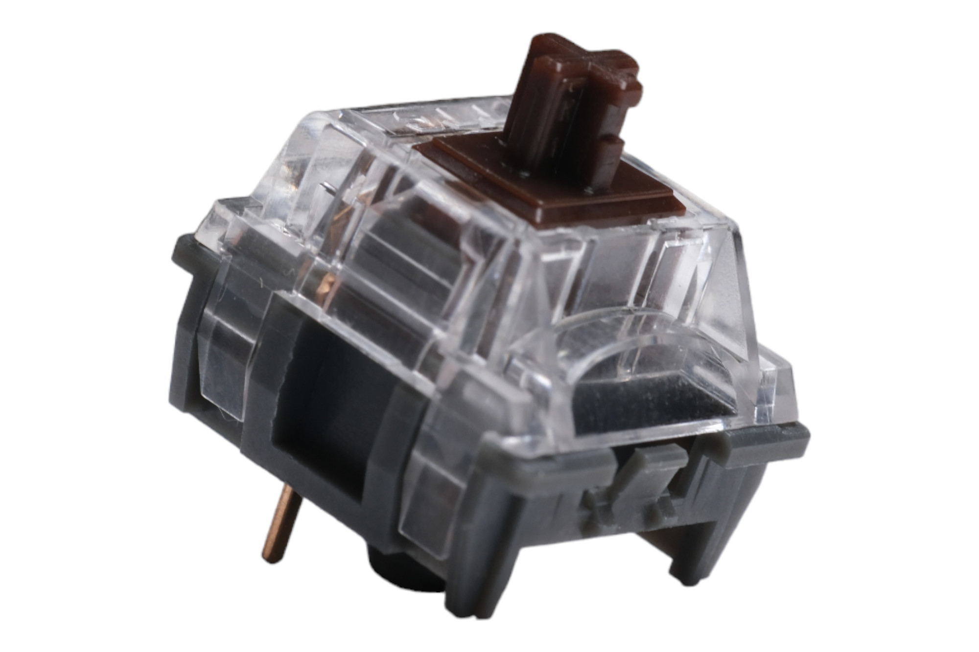 TTC Gold Brown Pro Tactile Switch · Milktooth